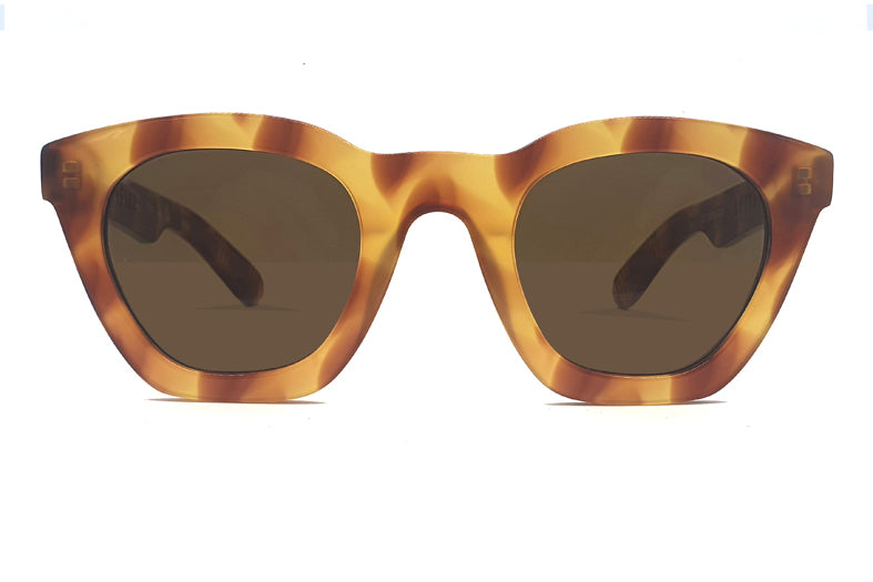 Sunglasses - 64 havana